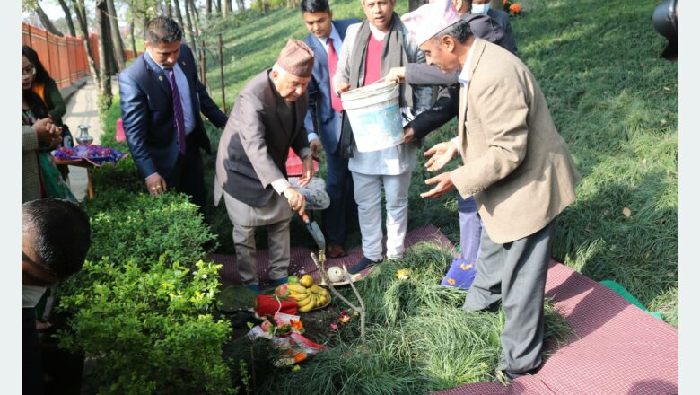 राष्ट्रपति पौडेलद्वारा वनकालीमा वृक्षरोपण